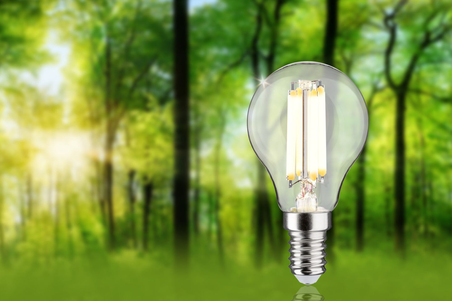 Paulmann Eco-Line Filament 230V LED Tropfen 1er-Set  82mm 525lm 2,5W 3000K  Klar