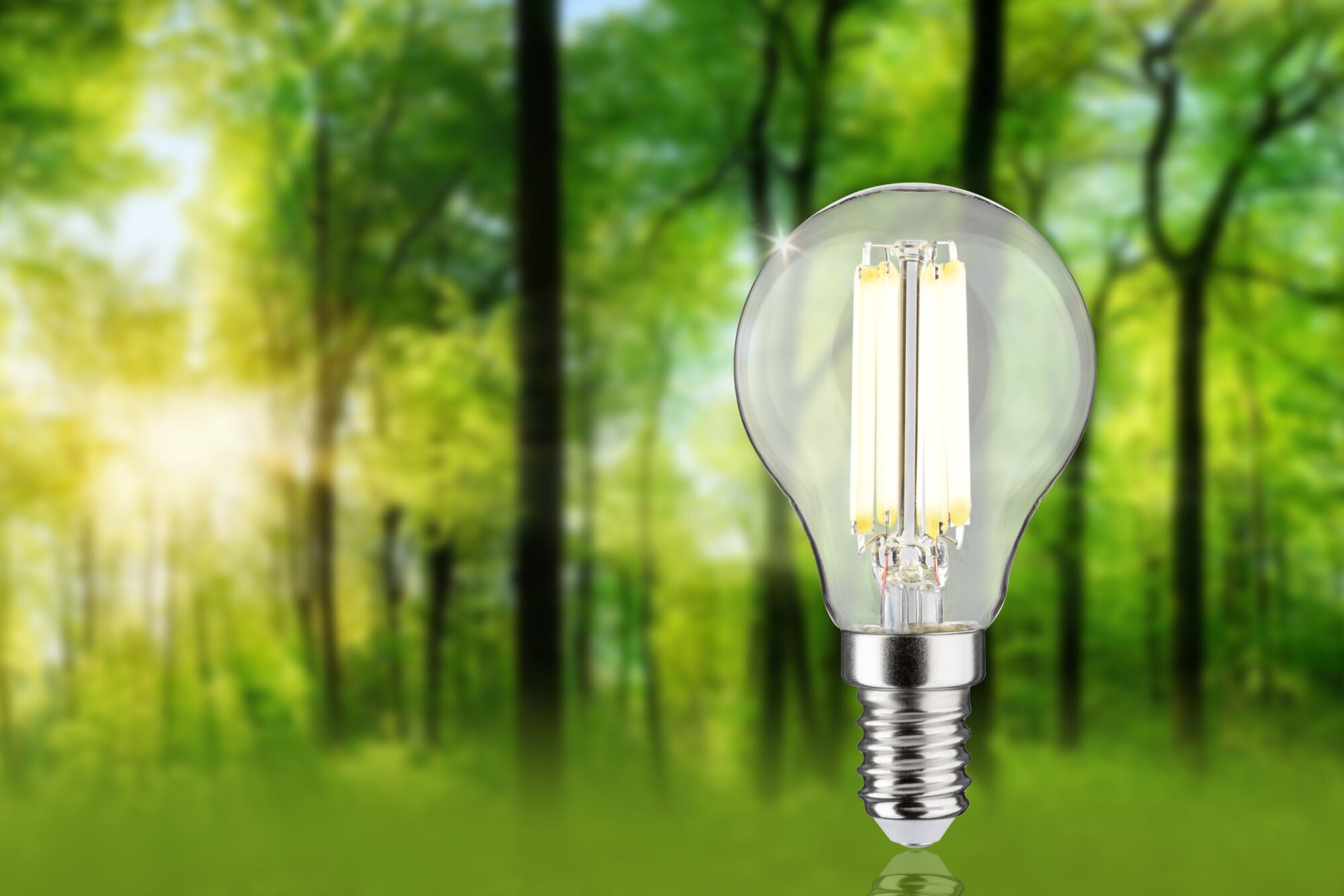 Paulmann Eco-Line Filament 230V LED Tropfen 1er-Set  82mm 525lm 2,5W 4000K  Klar