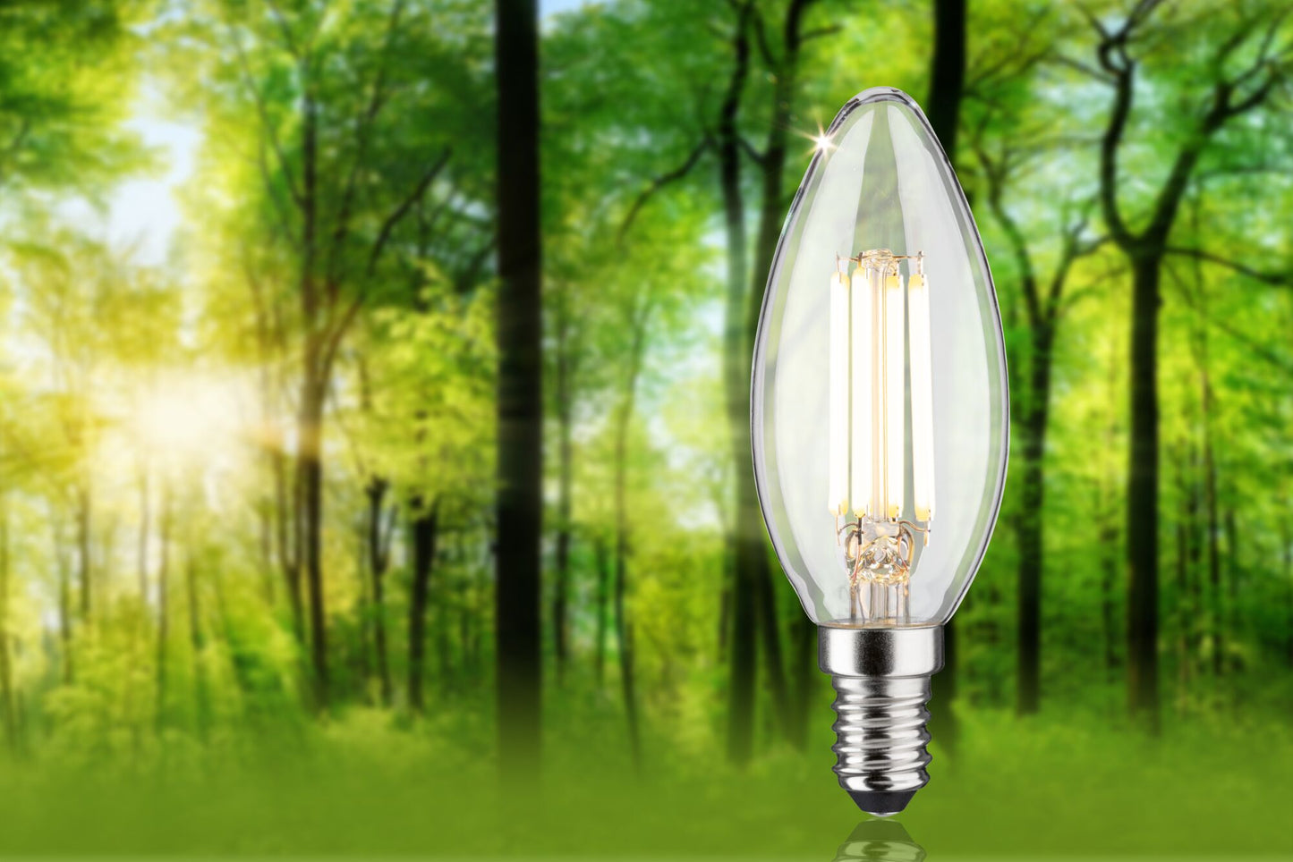 Paulmann Eco-Line Filament 230V LED Kerze   101mm 840lm 4W 3000K  Klar