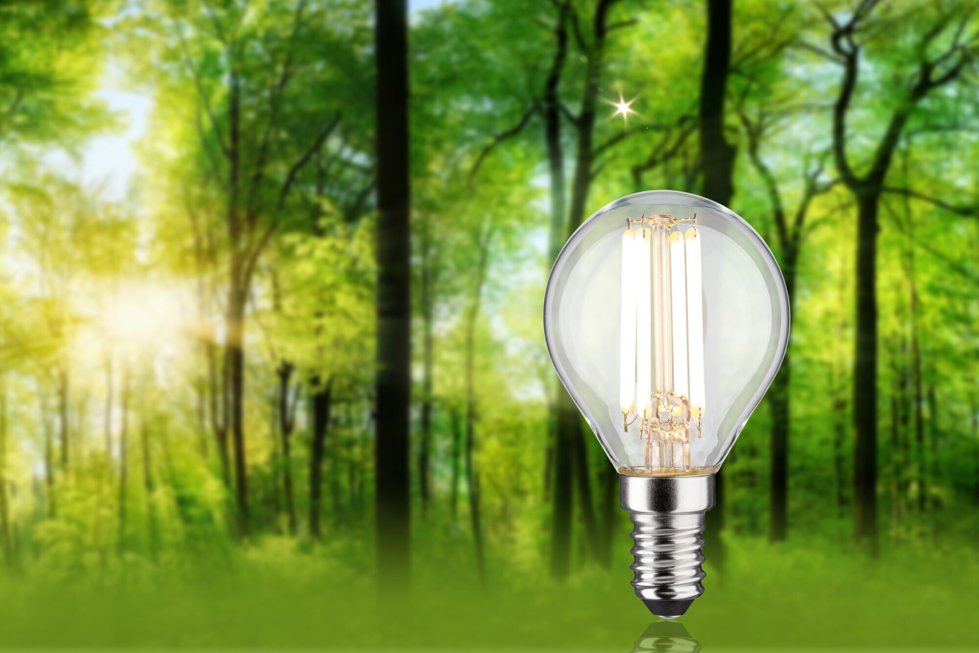 Paulmann Eco-Line Filament 230V LED Tropfen   78mm 840lm 4W 3000K  Klar