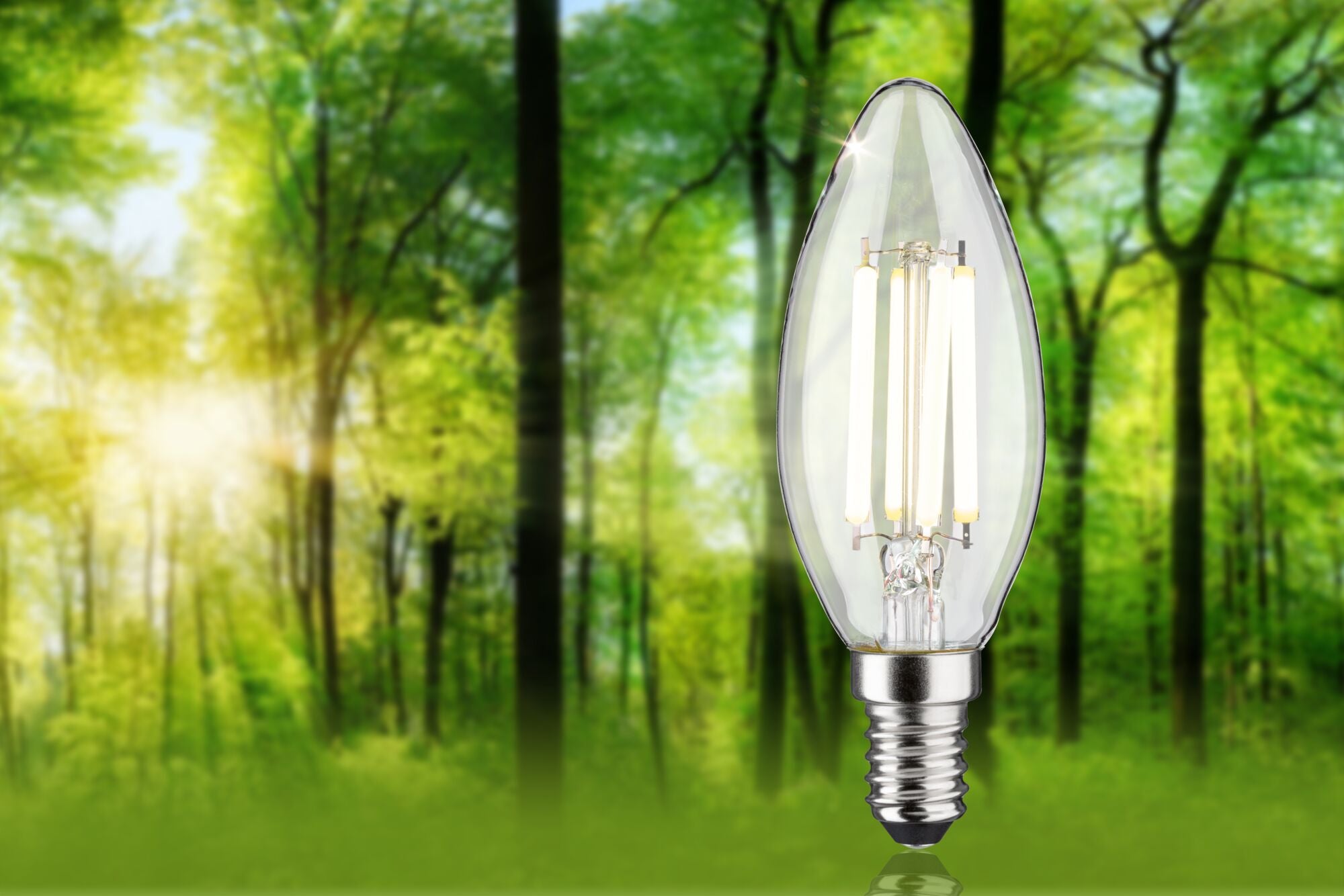 Paulmann Eco-Line Filament 230V LED Kerze   101mm 840lm 4W 4000K  Klar