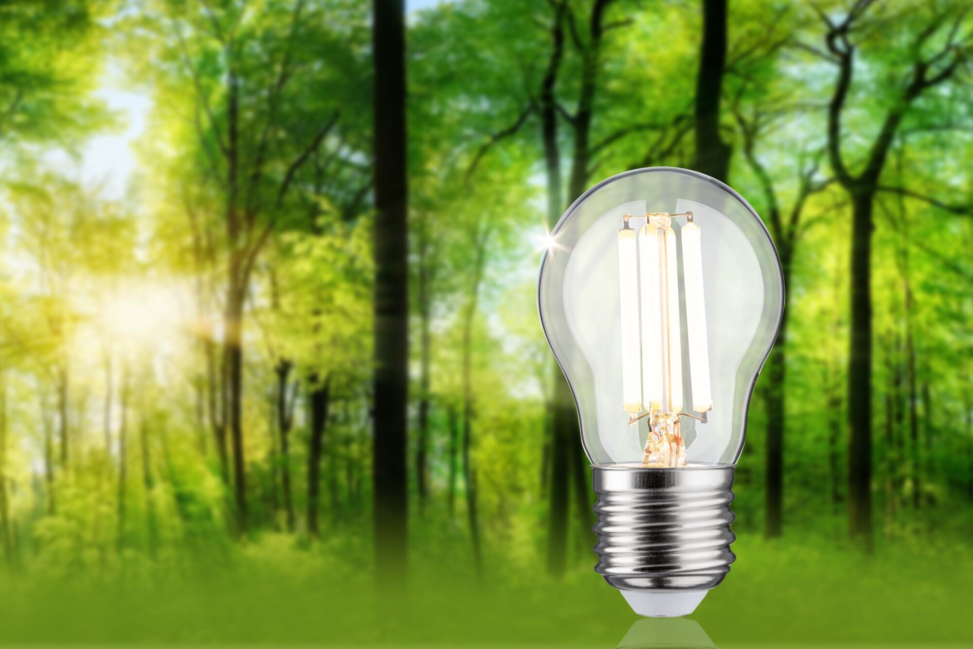 Paulmann Eco-Line Filament 230V LED Tropfen 1er-Set  80mm 840lm 4W 3000K  Klar