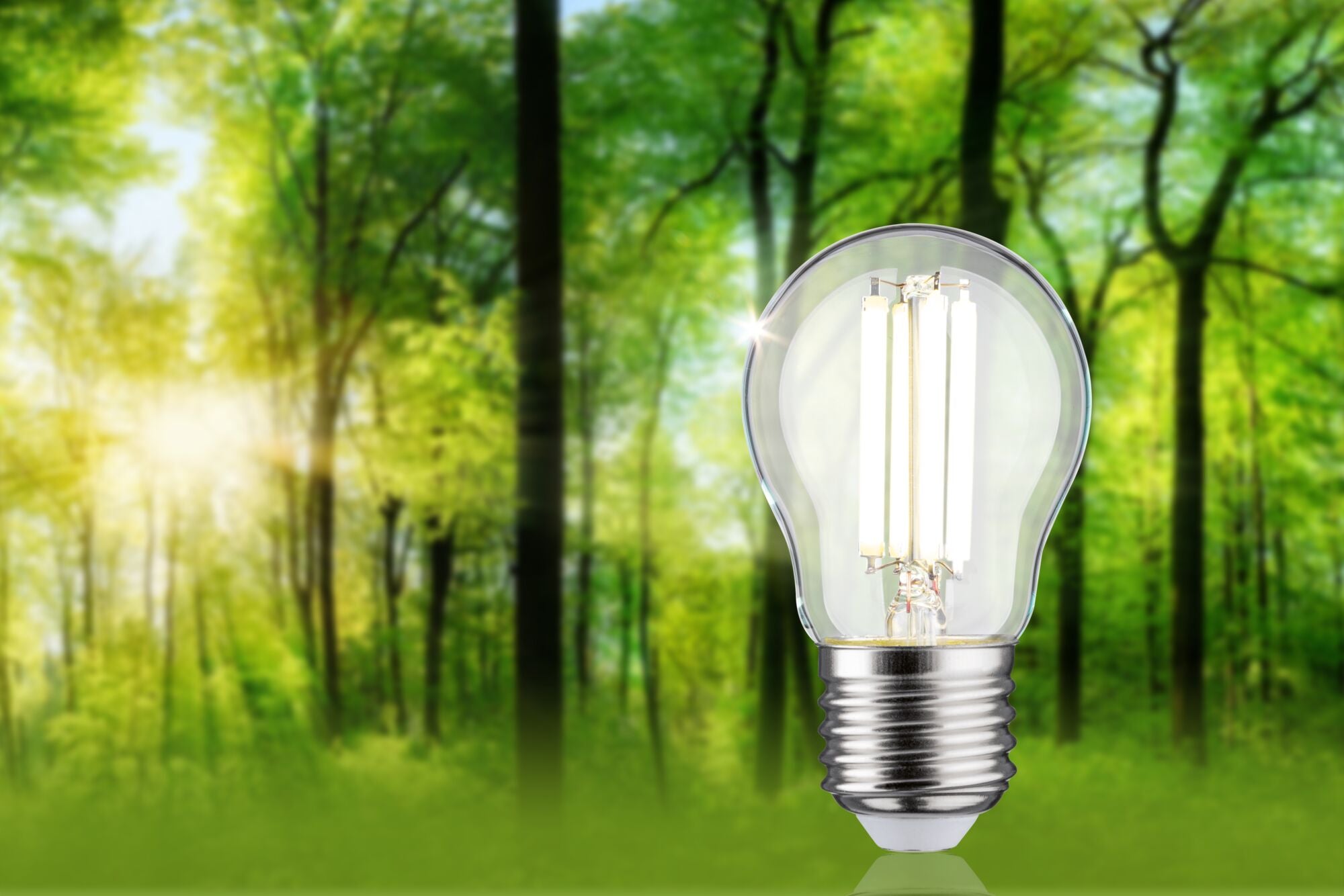 Paulmann Eco-Line Filament 230V LED Tropfen 1er-Set  80mm 525lm 2,5W 4000K  Klar