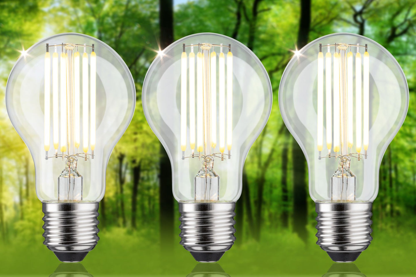 Paulmann Eco-Line Filament 230V LED Birne 3er-Set 1055lm 5W 3000K  Klar