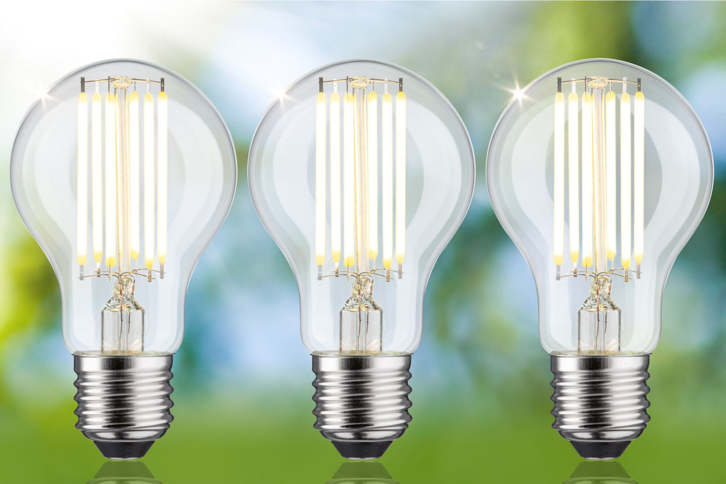 Paulmann Eco-Line Filament 230V LED Birne 3er-Set 1055lm 5W 3000K  Klar