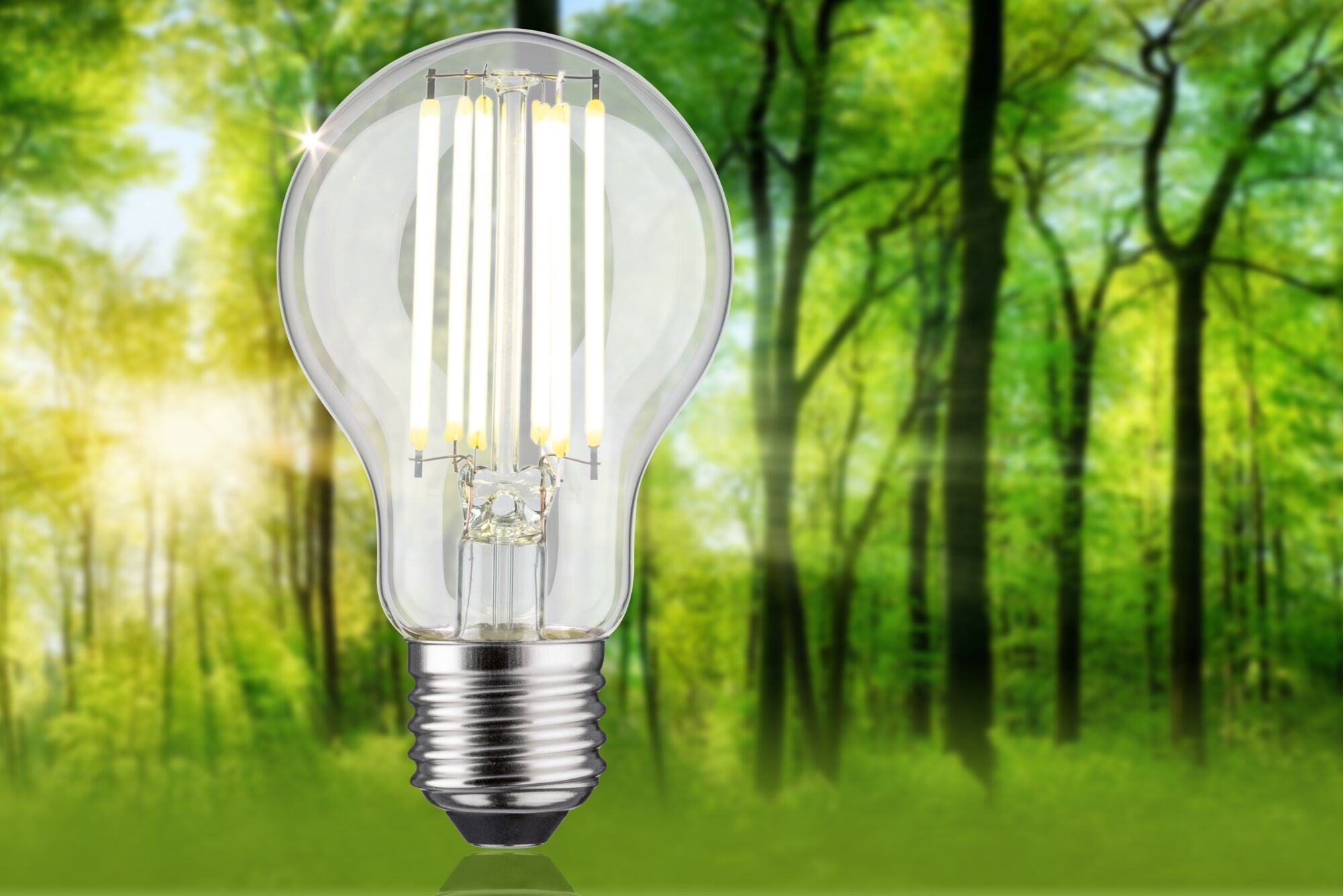 Paulmann Eco-Line Filament 230V LED Birne Einzelleuchte 1055lm 5W 4000K  Klar