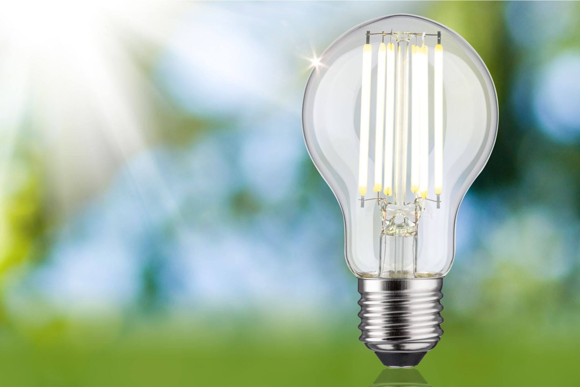 Paulmann Eco-Line Filament 230V LED Birne Einzelleuchte 1055lm 5W 4000K  Klar