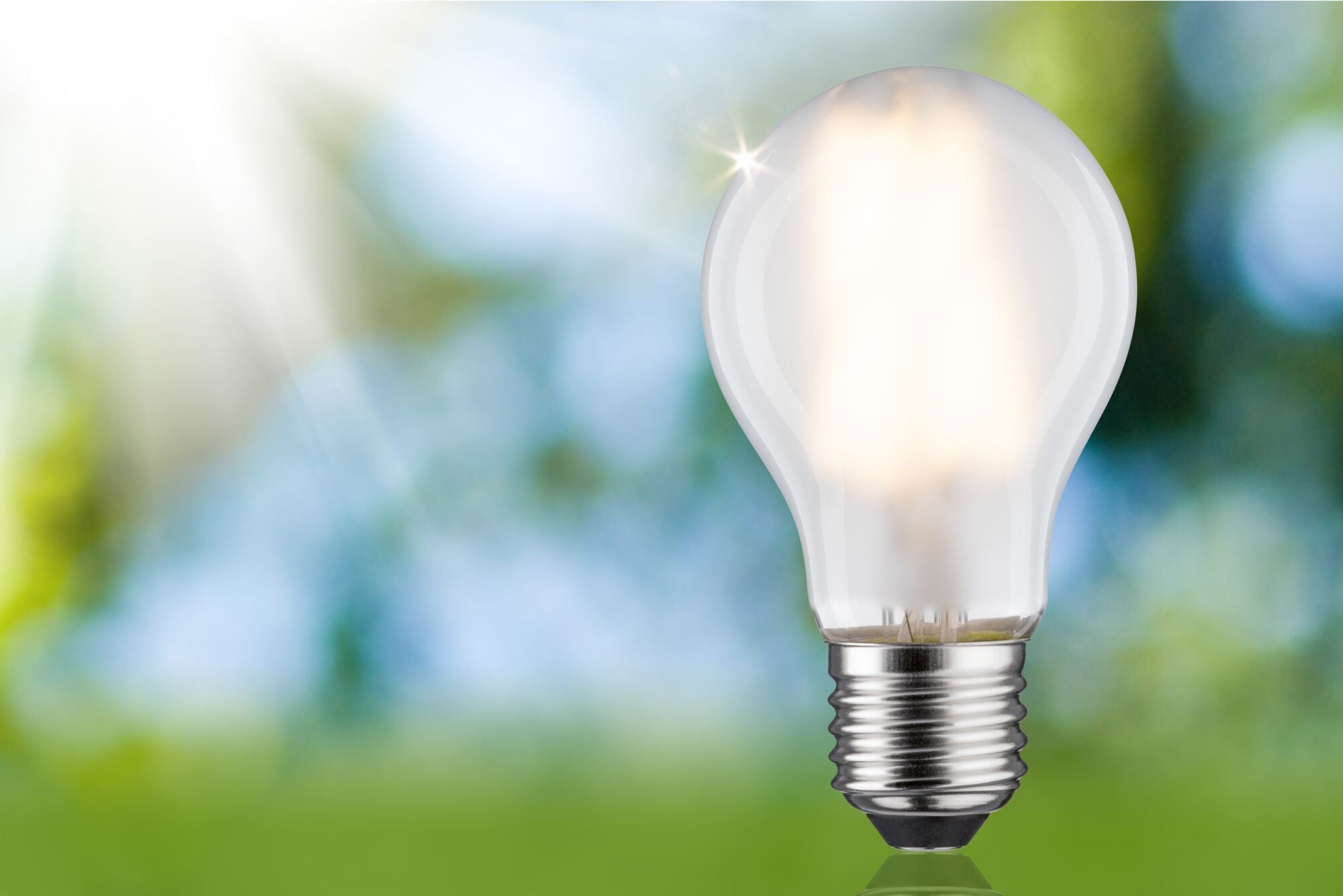 Paulmann Eco-Line Filament 230V LED Birne Einzelleuchte 525lm 2,5W 3000K  Matt