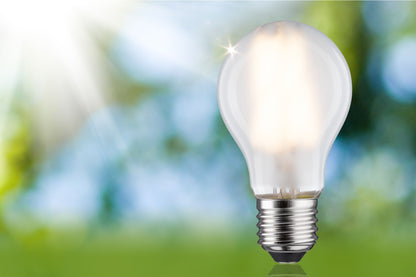 Paulmann Eco-Line Filament 230V LED Birne Einzelleuchte 840lm 4W 3000K  Matt