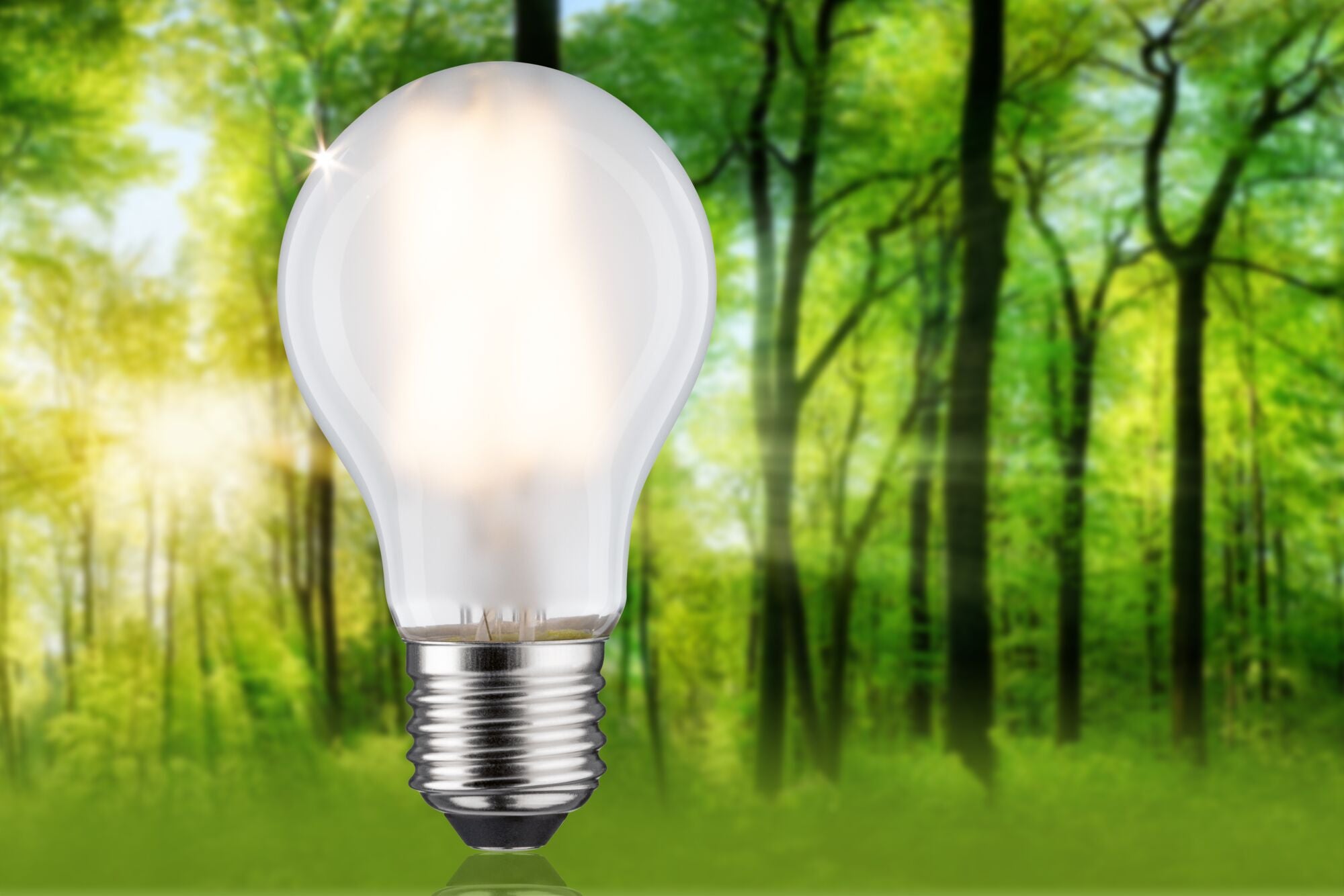 Paulmann Eco-Line Filament 230V LED Birne Einzelleuchte 1521lm 7,2W 3000K  Matt