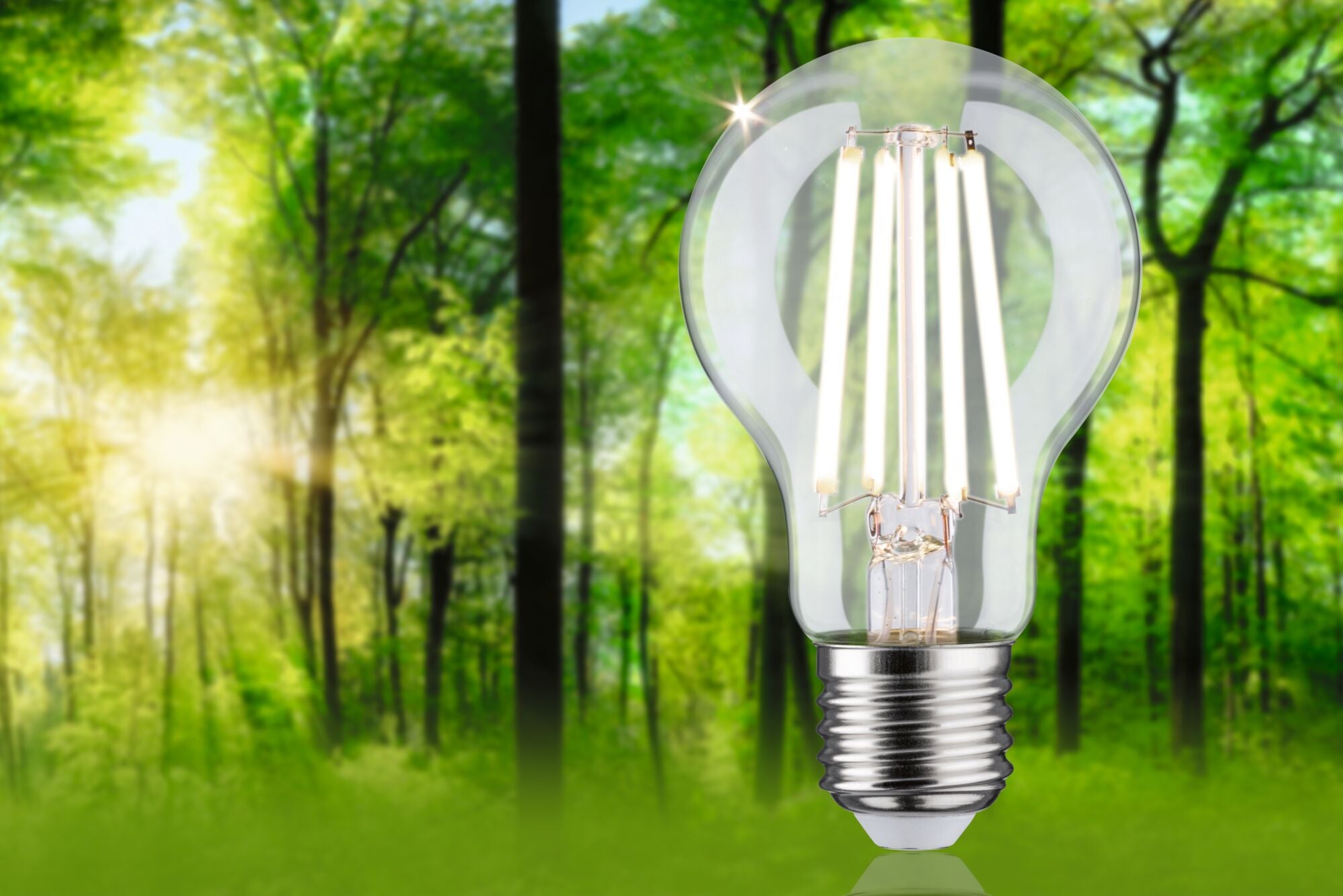 Paulmann Eco-Line Filament 230V LED Birne Einzelleuchte 840lm 4,5W 4000K dimmbar Klar