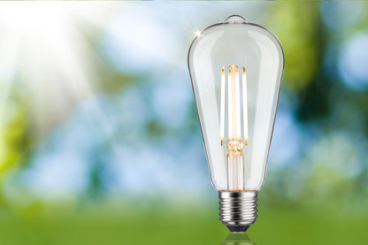 Paulmann Eco-Line Filament 230V LED Kolben 806lm 4,3W 3000K dimmbar Klar