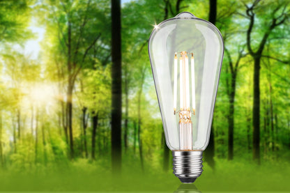 Paulmann Eco-Line Filament 230V LED Kolben 806lm 4,3W 3000K dimmbar Klar