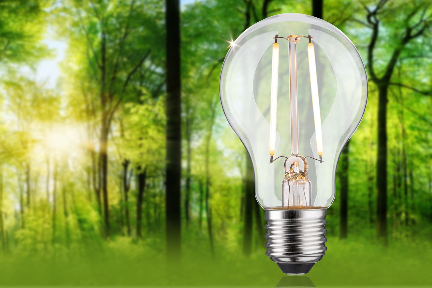 Paulmann Eco-Line Filament 230V LED Birne Einzelleuchte 470lm 2,5W 3000K dimmbar Klar