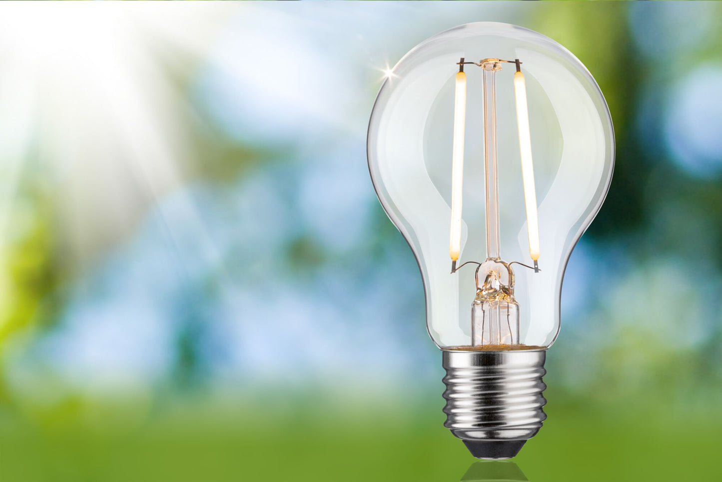 Paulmann Eco-Line Filament 230V LED Birne Einzelleuchte 470lm 2,5W 3000K dimmbar Klar