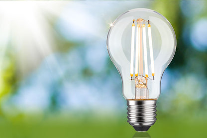 Paulmann Eco-Line Filament 230V LED Birne Einzelleuchte 1055lm 5,7W 3000K dimmbar Klar