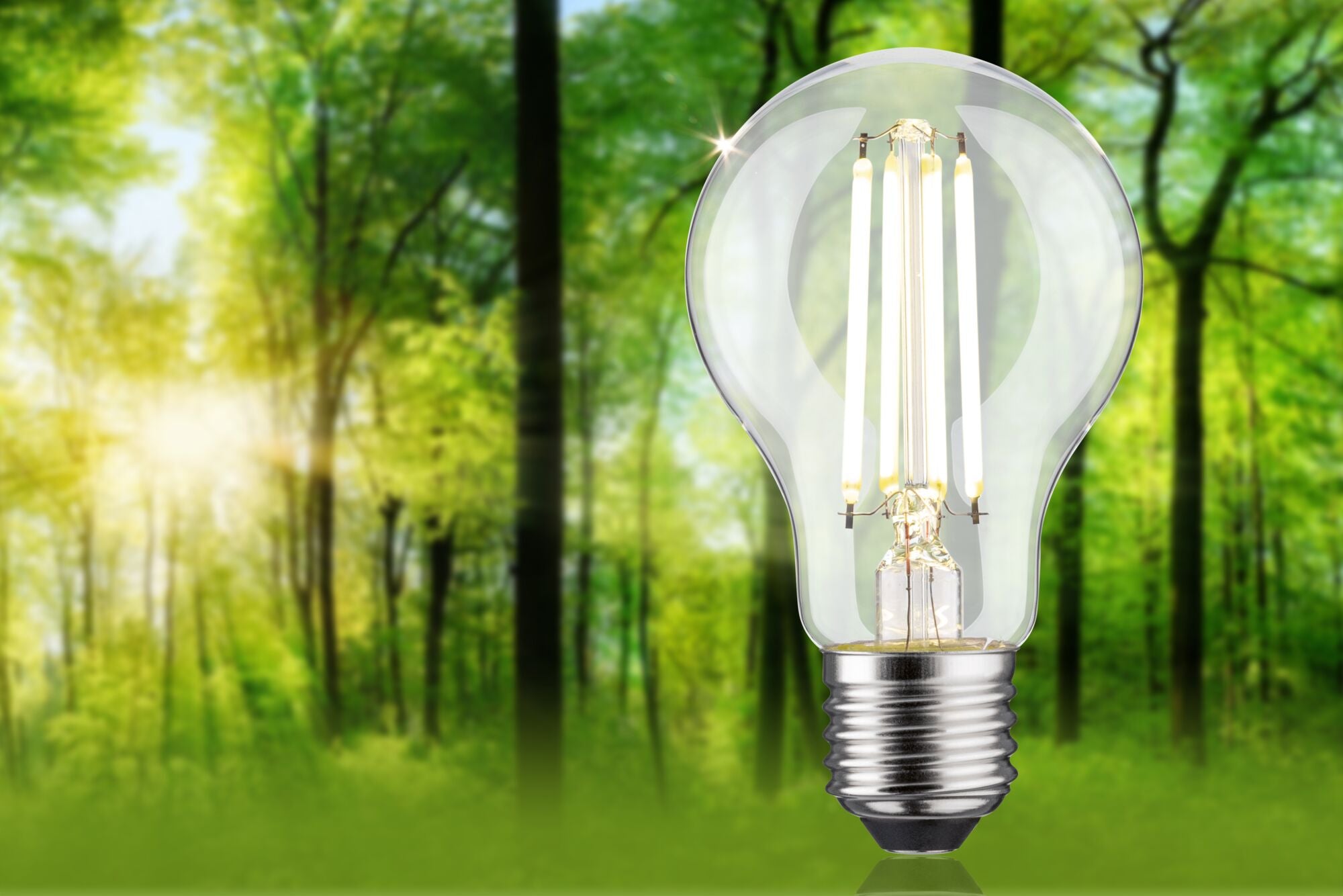 Paulmann Eco-Line Filament 230V LED Birne Einzelleuchte 806lm 4,3W 4000K dimmbar Klar