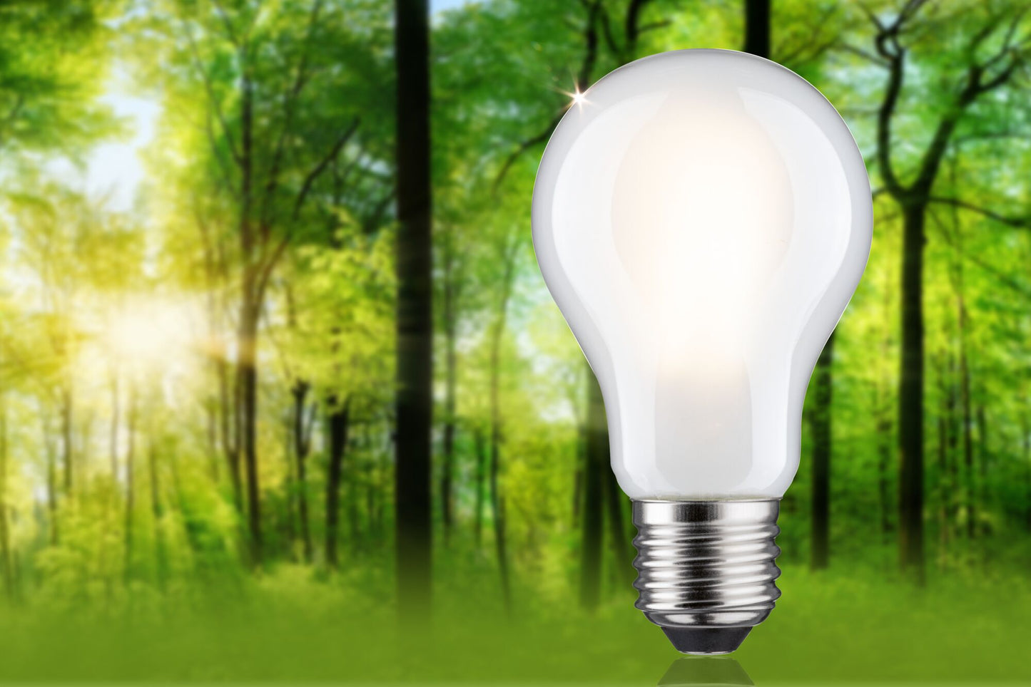 Paulmann Eco-Line Filament 230V LED Birne Einzelleuchte 1055lm 5,7W 3000K dimmbar Matt