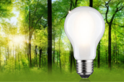 Paulmann Eco-Line Filament 230V LED Birne Einzelleuchte 1521lm 8,2W 3000K dimmbar Matt