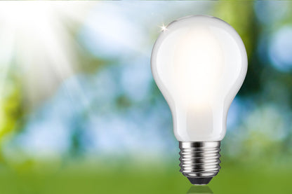 Paulmann Eco-Line Filament 230V LED Birne Einzelleuchte 1521lm 8,2W 3000K dimmbar Matt