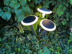 Deko-Light Bermuda 12W Schwarzgrau RAL 7021