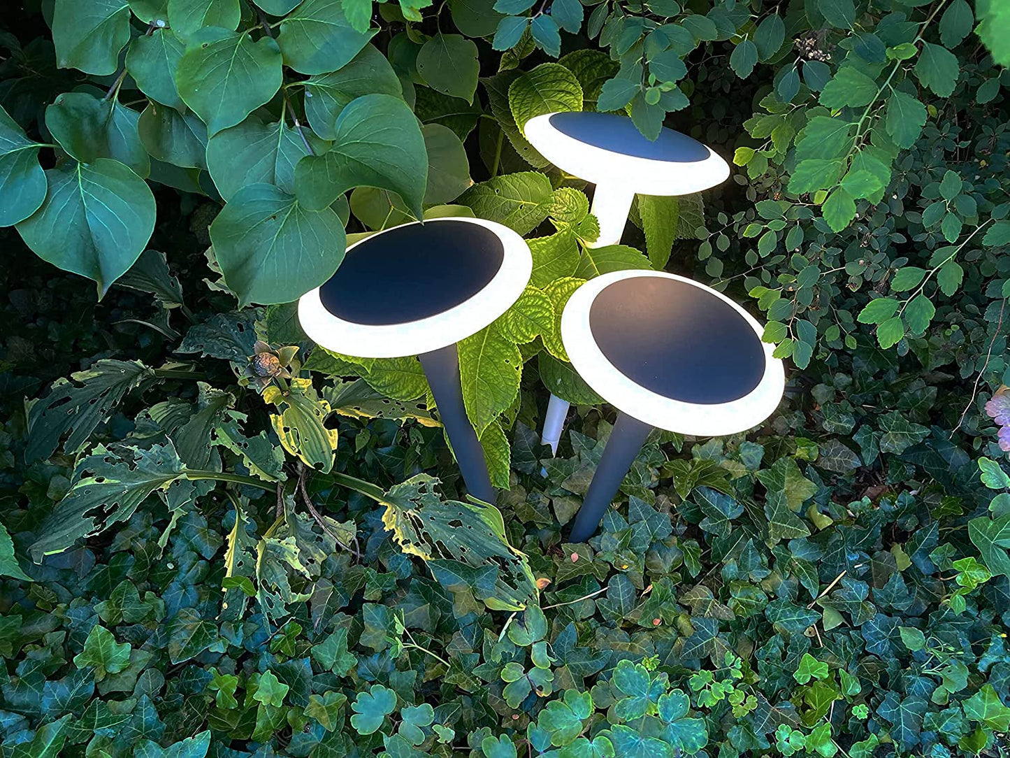 Deko-Light Bermuda 12W Schwarzgrau RAL 7021