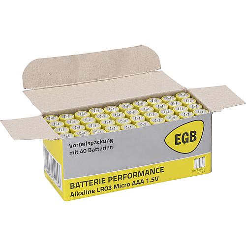 EGB Alkaline-Batterie Micro LR3