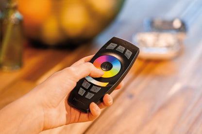 Paulmann SmartHome ZB Gent Fernbedienung 2xAAA mit Wandhalterung Schwarz Kunststoff