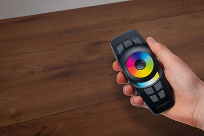 Paulmann SmartHome ZB Gent Fernbedienung 2xAAA mit Wandhalterung Schwarz Kunststoff