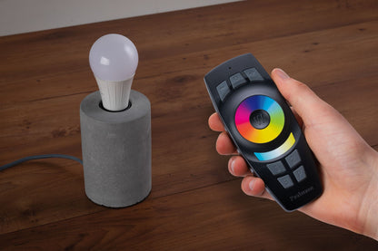 Paulmann SmartHome ZB Gent Fernbedienung 2xAAA mit Wandhalterung Schwarz Kunststoff