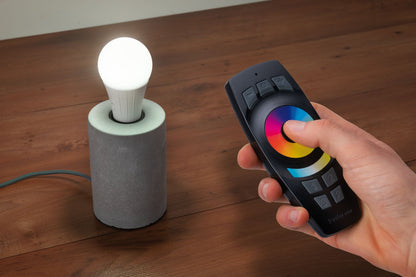 Paulmann SmartHome ZB Gent Fernbedienung 2xAAA mit Wandhalterung Schwarz Kunststoff