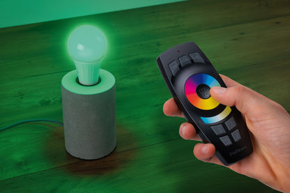 Paulmann SmartHome ZB Gent Fernbedienung 2xAAA mit Wandhalterung Schwarz Kunststoff