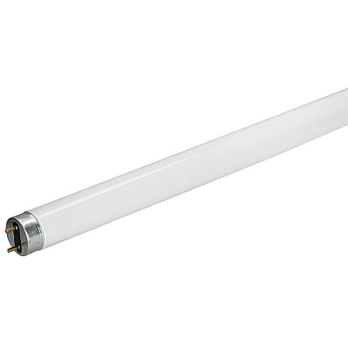 25x OSRAM Lumilux 36W/865  517858