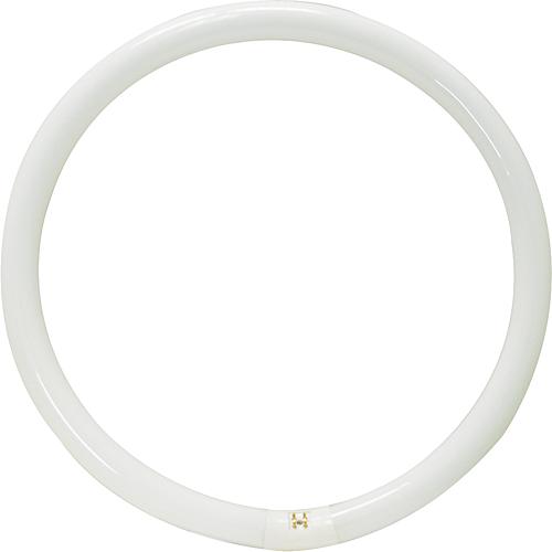 G10q CIRCLINE T9 LUMILUX C/22W/840