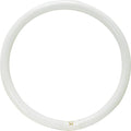 G10q CIRCLINE T9 LUMILUX C/32W/840