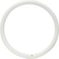 40W G10q CIRCLINE T9 C LUMILUX/840 /