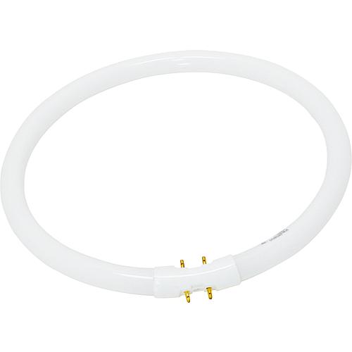 Paulmann Leuchtstofflampe Ringform T5 22W 2GX13 225mm Warmweiß