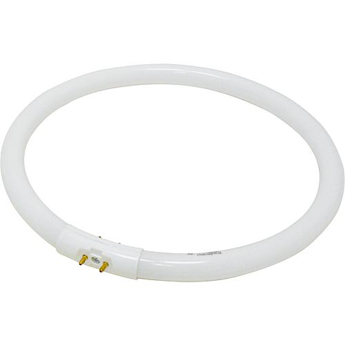 Paulmann Leuchtstofflampe Ringform T5 40W 2GX13 300mm Warmweiß
