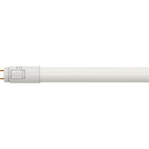 EGB LED CCT-Glasröhre 150lm/W L600mm 9W 1300lm