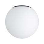 Paulmann Selection Bathroom Deckenleuchte Gove Schwarz matt#Satin