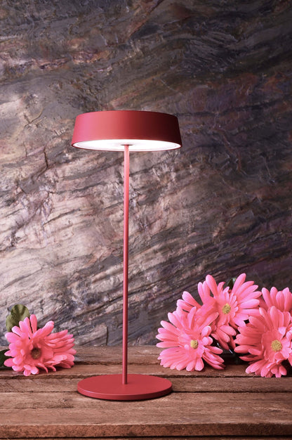 Deko-Light Miram Standfuß + Kopf Rubin Rot Bundle 2,2W Rubin Rot RAL 3003