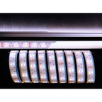 Deko-Light 5050-2x30-12V-3000K-7000K-3m  Weiß