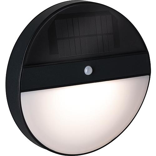 Paulmann Outdoor Solar Wandleuchte Elois Anthrazit mit Bewegungsmelder 3000K