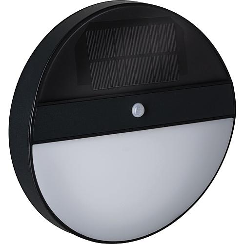 Paulmann Outdoor Solar Wandleuchte Elois Anthrazit mit Bewegungsmelder 3000K