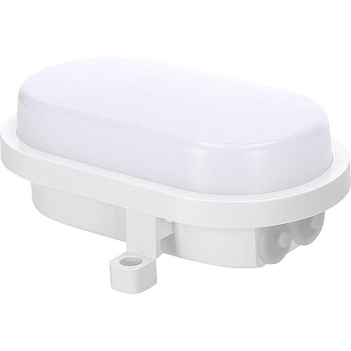 EGB LED Ovalarmatur IP65 4-9W + CCT, weiß