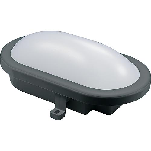 EGB LED Ovalarmatur IP54 12W 840lm 4000K, anthr