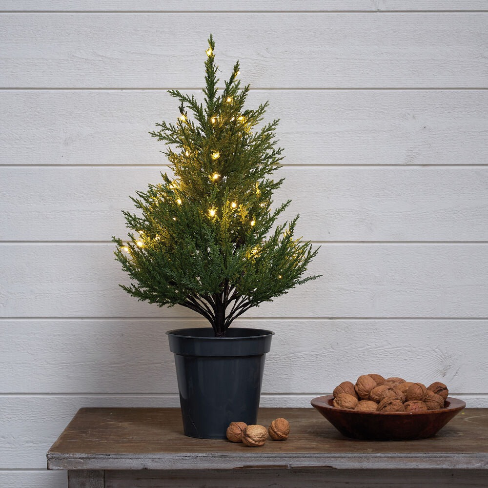 STAR TRADING Weihnachtsbäumchen, TUJA, 40 warmweiße LEDs