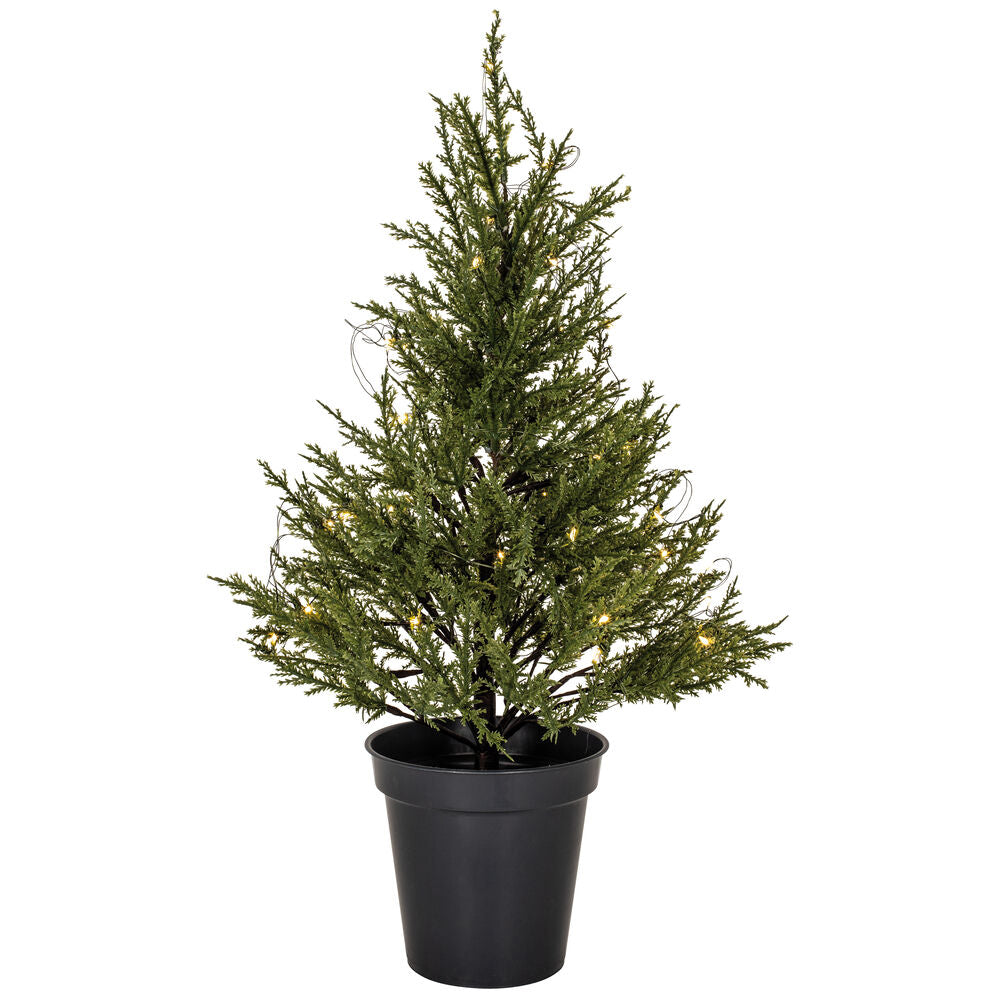 STAR TRADING Weihnachtsbäumchen, TUJA, 40 warmweiße LEDs