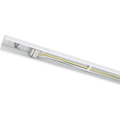 EGB Lichtband-Einspeise-/Mittelschiene, 8-polig