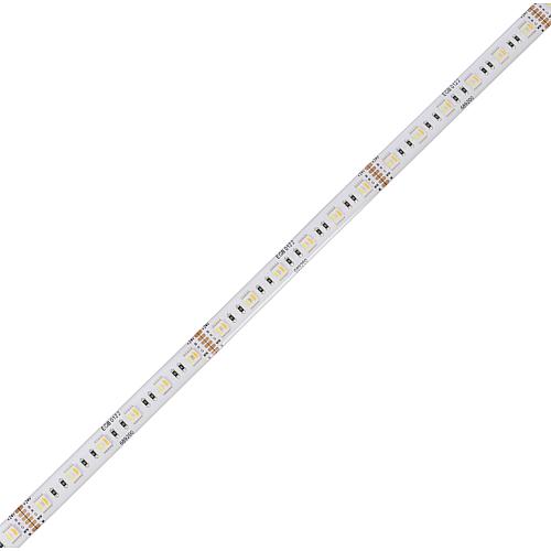 EGB LED Stripe-Rolle RGB+CCT IP54, 24V-DC